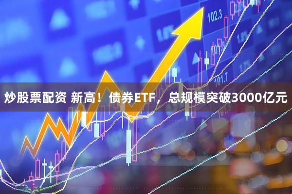 炒股票配资 新高！债券ETF，总规模突破3000亿元