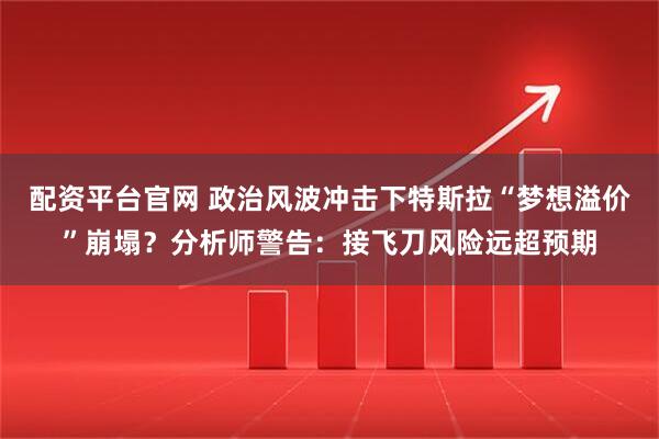配资平台官网 政治风波冲击下特斯拉“梦想溢价”崩塌？分析师警告：接飞刀风险远超预期