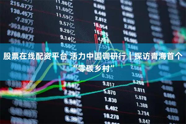 股票在线配资平台 活力中国调研行｜探访青海首个“零碳乡村”