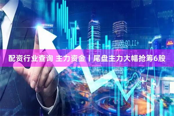 配资行业查询 主力资金丨尾盘主力大幅抢筹6股